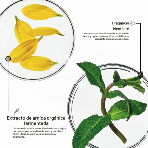 Vista 5 de Framesi Morphosis Scalp Detox Essence, limpiador profundo pre-champú, 5.1