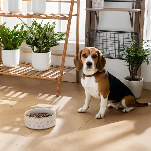 Vista 6 de MALACASA - Cuenco de comida de cerámica para perros, plato de agua para razas medianas, 4 tazas