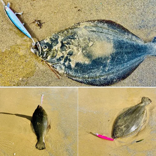 Vista 7 de LITTMA Señuelos de pesca de surf de California Señuelos de pesca de agua salada Jerkbait Crankbait Surf Minnow 110 - Sardina metálica Super Glow