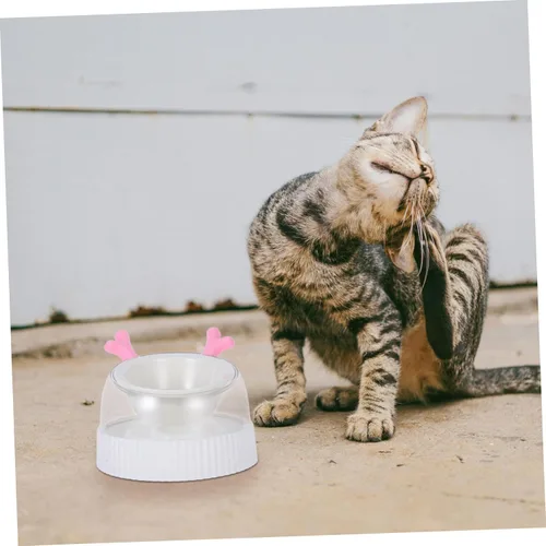 Vista 5 de PET Bowl for Small Dogs and Cats Raised Slow Feeder