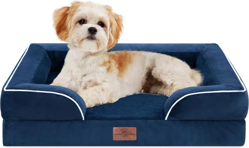 Vista 196 de Comfort Expression - Cama ortopédica para perros medianos, 28 x 19 pulgadas, cama impermeable y de apoyo de espuma con cojines removibles, sofá