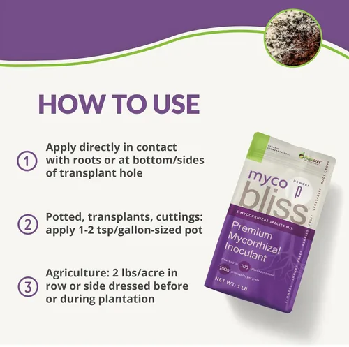 Vista 6 de Ladrillo de coco (650 gm) + polvo Myco Bliss (7.05 oz) – Fibra de coco orgánica para plantas y micorrizas para plantas – Inoculante de hongos