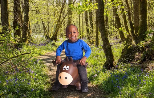 Vista 2 de Farm Hoppers Wildlife Hopper Inflable Niño Seguro Bouncing Moose Plus Pump