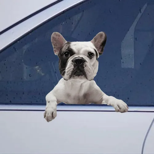 Vista 58 de Calcomanías de perro caniche, divertidas calcomanías de vinilo troqueladas para automóvil, laptop, parachoques Estilo-37