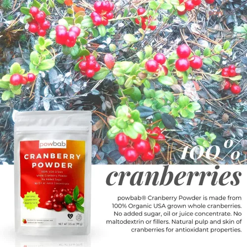 Vista 2 de powbab Arándano en polvo de arándanos secos 100% cultivados en Estados Unidos. Sin azúcar añadido. Fruta pura, arándano sin azúcar. No liofilizado.
