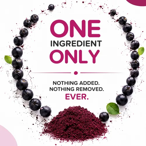 Vista 3 de Polvo de bayas de Aronia natural, superalimento de chokeberry negro, alto en antocianinas y polifenoles, apoya el sistema inmunológico