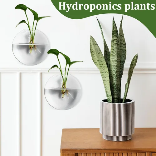 Vista 3 de 4pcs Wall Hanging Glass Flower Vessels Flat Oblate Bubble Design Hanging Holders for Indoor Plants Terrarium Stand Home Décor