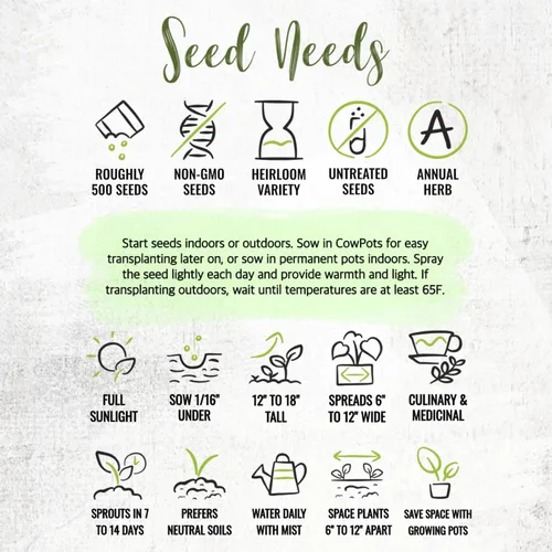 Vista 8 de Seed Needs Semillas saladas de verano para plantar hierbas tradicionales sin OMG, 1 paquete