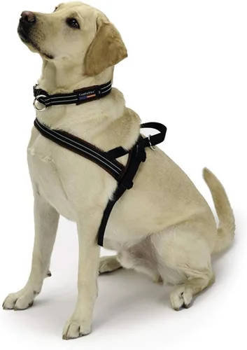 Vista 5 de Arnés de deportes ComfortFlex de PetPDC, Berry American made, designed, cut, assembled, and sewn in the USA, padded reflective harness, integrated