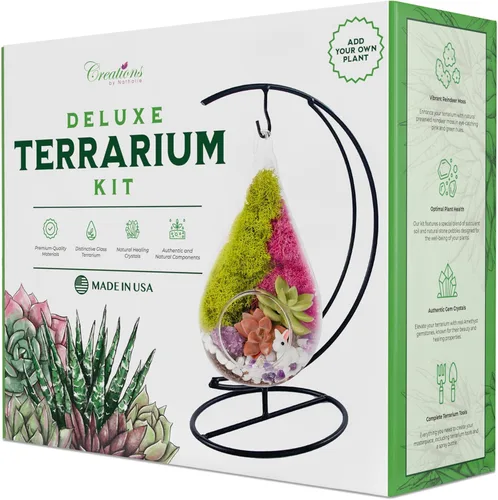 Vista 9 de Creations by Nathalie Kit de bricolaje de terrario cáliz de 6" con plantas vivas - Construye tu propio terrario de vidrio para adultos y niños