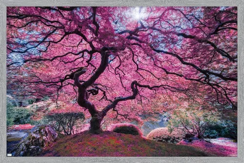 Vista 13 de Trends International Póster de pared Pink Tree 2 de Moises Levy, 22.4 pulgadas de largo x 14.7 pulgadas, versión enmarcada en madera de granero