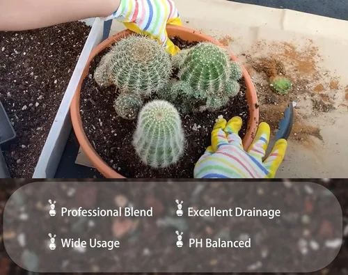 Vista 3 de Mezcla para macetas de suelo de cactus, 1.1 libras, pH optimizado de drenaje rápido con nutrientes añadidos, perfecta para macetas pequeñas de cactus