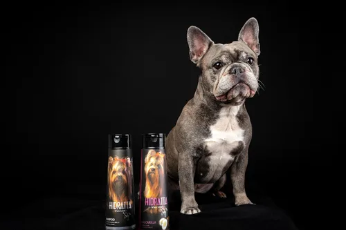Vista 4 de Kit de champú hidratante prémium para perros y gatos + máscara – Henna y aceites naturales para un pelaje brillante y sin enredos – Juego de 12.5 oz