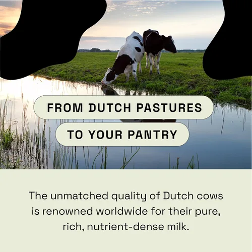 Vista 4 de MOOVE Polvo de calostro bovino sin sabor, vacas holandesas alimentadas con pasto, apoyo inmunológico e intestinal, proteína natural, superalimento