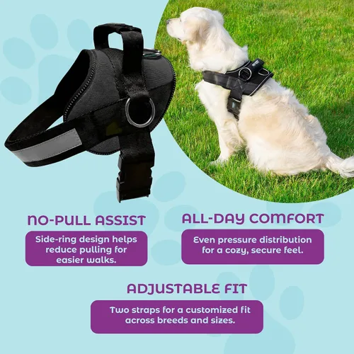 Vista 5 de Joyride Basic Essential Dog Harness 1.0 - Perros pequeños, medianos y grandes, chaleco para mascotas sin tirones con 3 anillos laterales