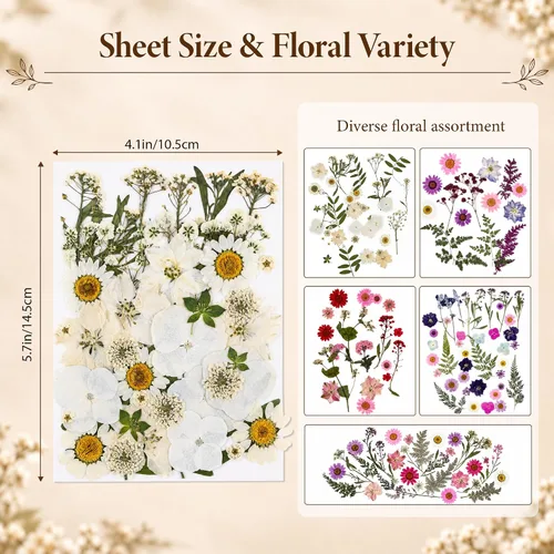 Vista 6 de 136 piezas de flores prensadas para resina con pinzas curvadas