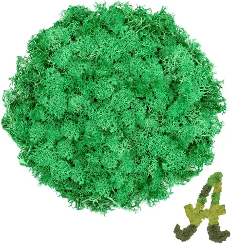 Vista 11 de Musgo de reno azul de 3.5 onzas, musgo preservado para plantas, decoración de musgo, musgo verde para manualidades, musgo para plantas en maceta