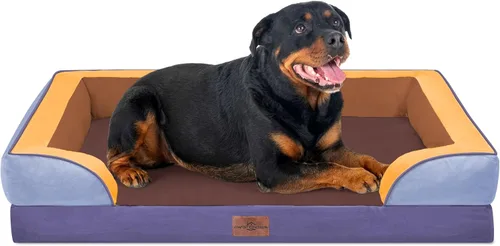 Vista 132 de Comfort Expression - Cama ortopédica para perros medianos, 28 x 19 pulgadas, cama impermeable y de apoyo de espuma con cojines removibles, sofá