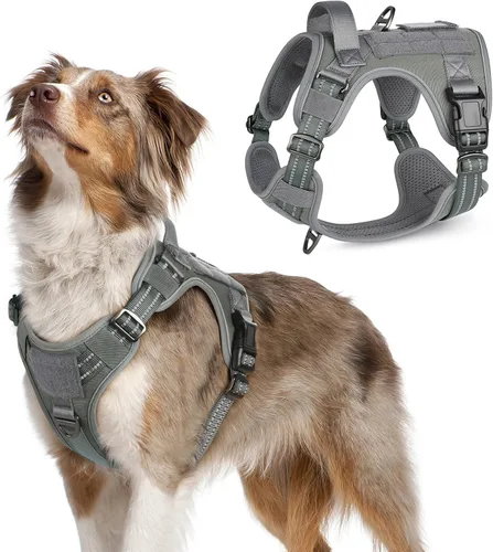 Vista 33 de rabbitgoo Arnés táctico para perros pequeños, chaleco de servicio militar sin tirones con asa y Molle, de fácil control para entrenar y caminar