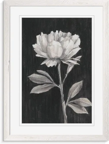 Vista 8 de Renditions Gallery- Lienzo enmarcado con flores blancas y negras Flores blancas y negras 1 juego/marco negro