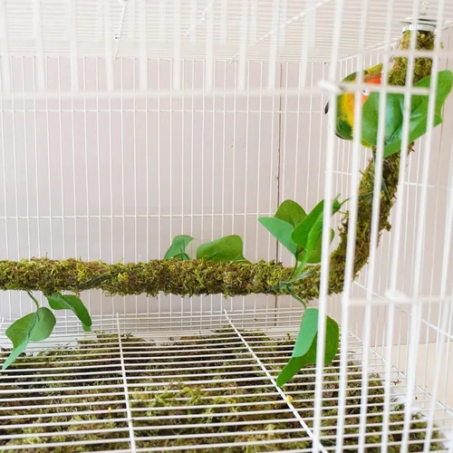 Vista 5 de Perchas para pájaros flexibles de 25 pulgadas, juguetes para pájaros, accesorios ideales para jaula de pájaros
