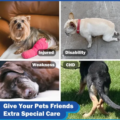 Vista 7 de Silla de ruedas para perros para patas traseras (M), nueva silla de ruedas ajustable para perro, ayuda a mascotas pequeñas con extremidades traseras