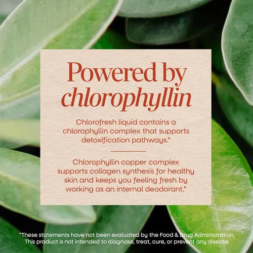 Vista 4 de Nature's Way Chlorofresh, clorofila líquida, apoya la piel saludable y la desintoxicación del cuerpo*, suplemento desodorante interno*, apoya