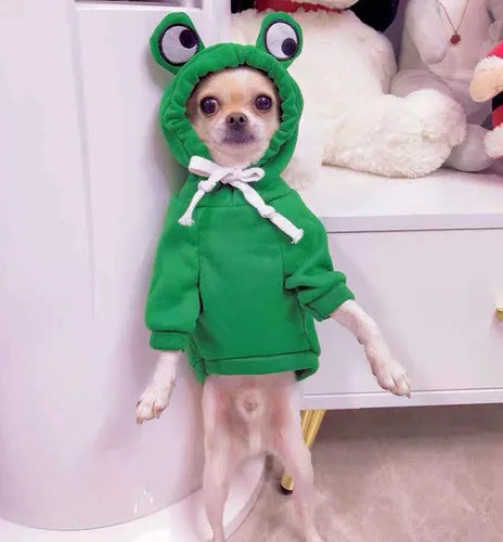 Vista 4 de Sudaderas con capucha para perro, ropa de rana para mascotas, suéter cálido de invierno, abrigo, ropa para perrito, ropa para cachorros, disfraz