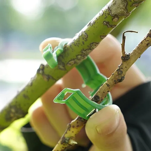 Vista 5 de Clip de plástico seguro para plantas, clips de soporte reutilizables para plantas, clips de plástico para tomate para asegurar plantas trepadoras