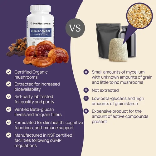 Vista 9 de Real Mushrooms Paquete de vitamina D2, zinc, chaga, reishi (120 unidades) y Cordyceps-M (120 unidades) – Apoyo inmunológico natural, energía