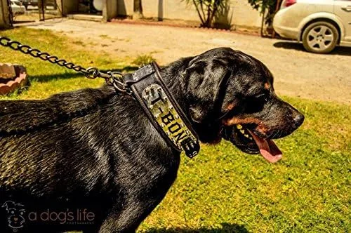 Vista 3 de Bestia Collar de perro personalizado para perreras, solo razas grandes. Tamaño L-XXL, 2.8 pulgadas de ancho. Acolchado. Fabricado en Europa
