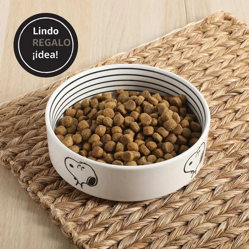 Vista 6 de Peanuts Snoopy Cuenco para Perros con Diseño de Hueso – Cuenco de Gres de 6.5" para Agua o Comida para Perros Pequeños a Medianos – Lindo Plato