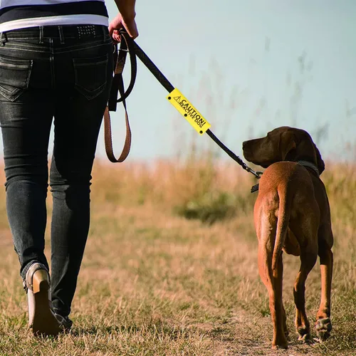 Vista 7 de BLUPARK Funny Dog Strap Sleeve - Precaution! Reactive Dog - Amarillo - Poliéster - 8.7 in x 2.4 in
