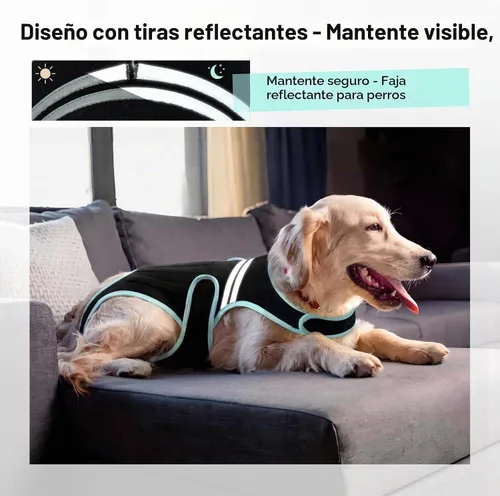 Vista 3 de IVDD - Soporte de espalda para perros, suave para la recuperación de cirugía Dog Back Protector Spine Support for Arthritis, Dogs Back Disease