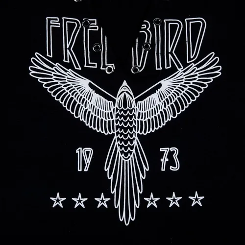 Vista 4 de Camiseta vintage de banda de rock para mujer, camisa retro de pájaro, camisetas gráficas de águila, camisa de música retro, camisetas casuales