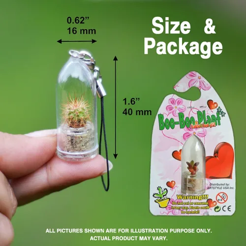 Vista 2 de Pearls Live Suculenta Terrario Planta Llavero Accesorio