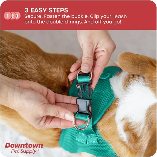 Vista 268 de Downtown Pet Supply Arnés para perro Step-in – Sin tirones, malla acolchada ajustable con ribete reflectante, correa de hebilla segura – Arnés