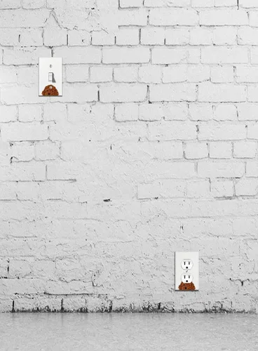 Vista 4 de WIRESTER Placa de pared dúplex con cubierta de salida / placa de interruptor - perro cachorro caniche de juguete marrón