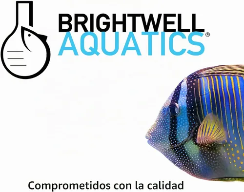 Vista 7 de Brightwell Aquatics Fórmula de suplemento de arrecife de yoduro de yodio, 16.9 fl oz