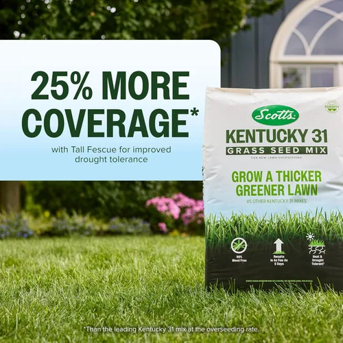 Vista 3 de Scotts Mezcla de semillas de césped Kentucky 31 para césped nuevo o sobresiembra, crece más gruesa y verde en comparación con otras mezclas Kentucky