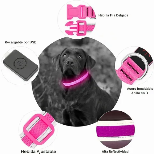 Vista 3 de YFbrite - Collar para perro con luz, collar de perro LED recargable por USB, luces súper brillantes para caminar por la noche, collar de perro