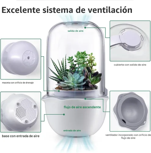 Vista 2 de Smart Venus - Maceta de terrario con temporizador y ventilador, kit de terrario para plantas con luz de crecimiento para carnívoros, Butterwort
