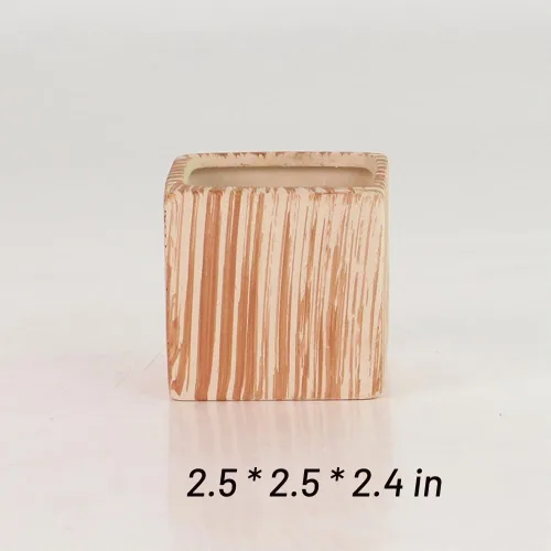 Vista 6 de Conjunto de macetas de 3 pulgadas de cerámica de madera suculenta SUN-E 6In /maceta para cactus