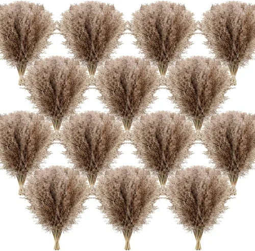 Vista 8 de Janinka 100 piezas de hierba seca de las pampas de 17 pulgadas a granel, ramos de flores naturales bohemias, pomposas, salvajes y esponjosas