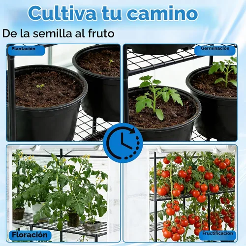 Vista 2 de SUNGIFT - Invernadero para exteriores, blanco, 56 x 85 x 77 pulgadas