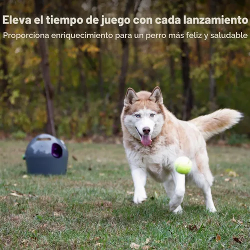 Vista 2 de PetSafe Lanzador Automático de Bolas - Juego Interactivo de Búsqueda - Entrenamiento de Búsqueda Sin Manos - Rango Ajustable - Incluye Bolas