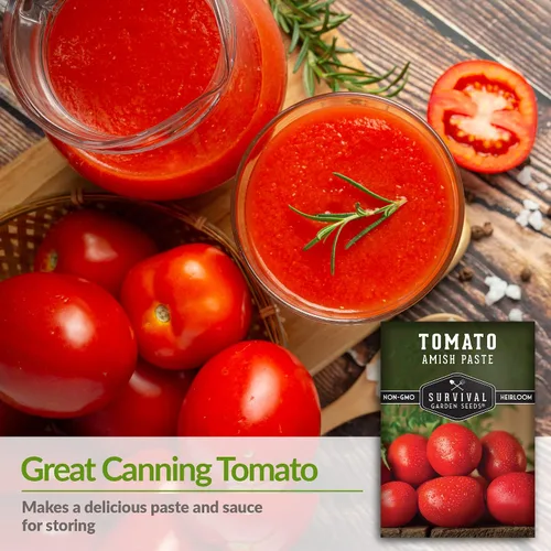 Vista 3 de Amish Paste - Semillas de tomate para plantar, variedad indeterminada sin OMG - Tomates de pasta roja carnosa para salsas, conservas y conservas