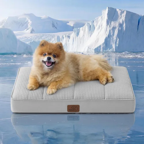 Vista 41 de Bedsure - Cama ortopédica pequeña para perros chicos, impermeable, con funda extraíble lavable, tapete de espuma con forma de huevera para mascotas