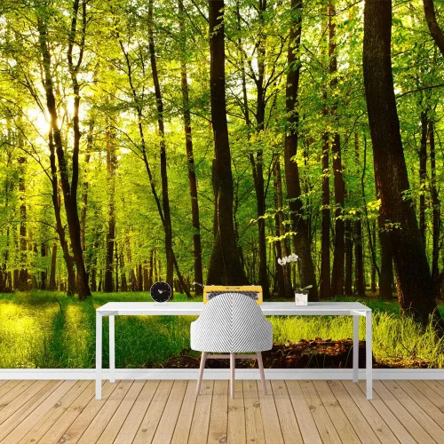 Vista 12 de SIGNFORD Adhesivo removible de pared/mural de pared, verde esmeralda, sol, bosque, árbol, árbol, naturaleza, desierto, fotografía, realismo