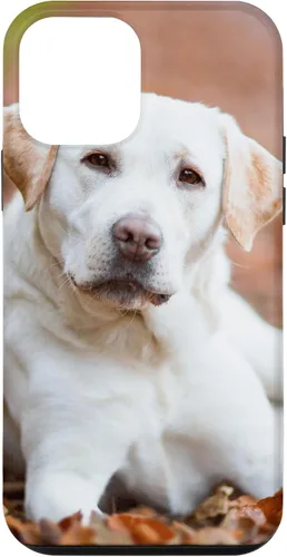 Vista 16 de Labrador Retriever Dog Lover - Carcasa para iPhone 17
